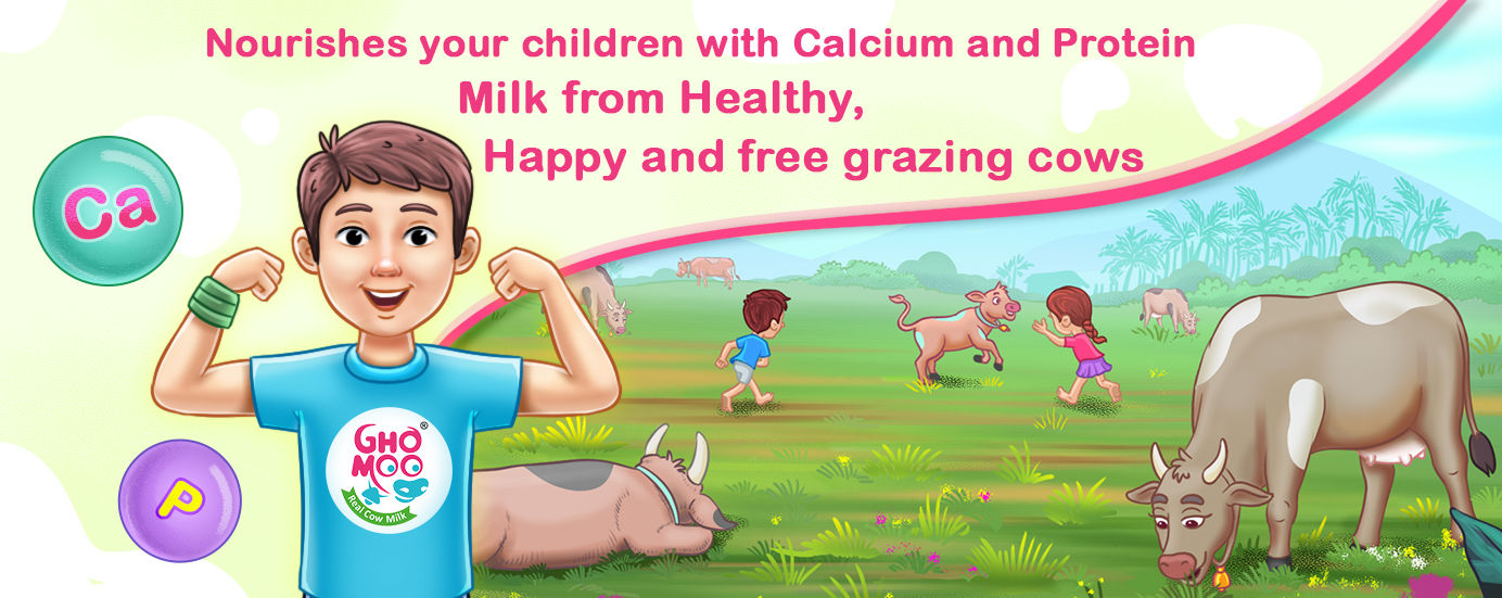 Best Cow Milk in Chennai Fresh Milk Home Delivery