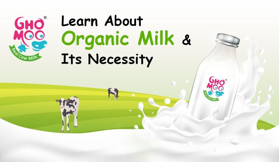 Organic Milk