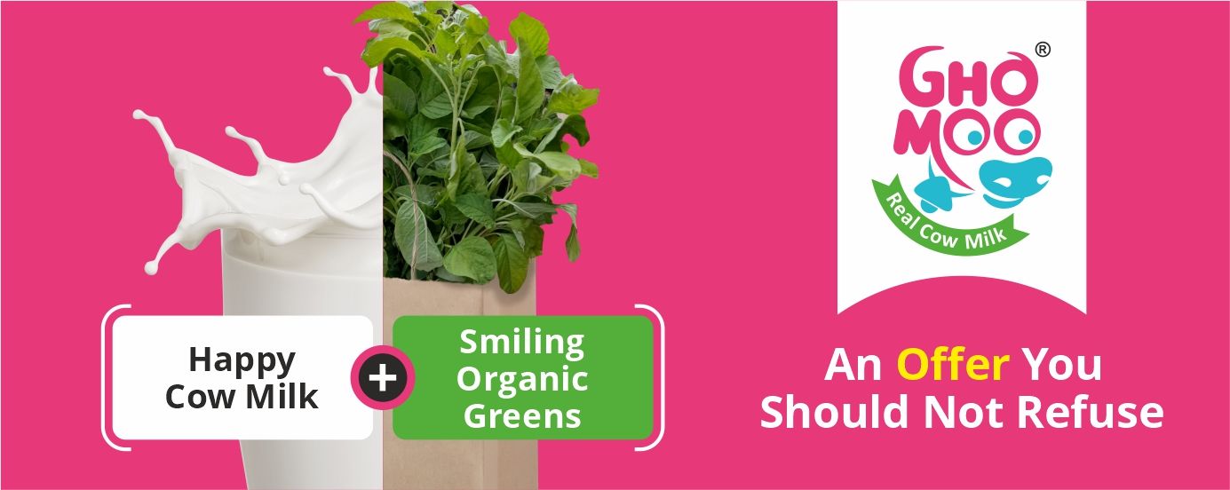 Best Cow Milk in Chennai Fresh Milk Home Delivery