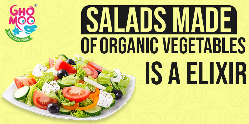Salads Made of Organic Vegetables is a Elixir