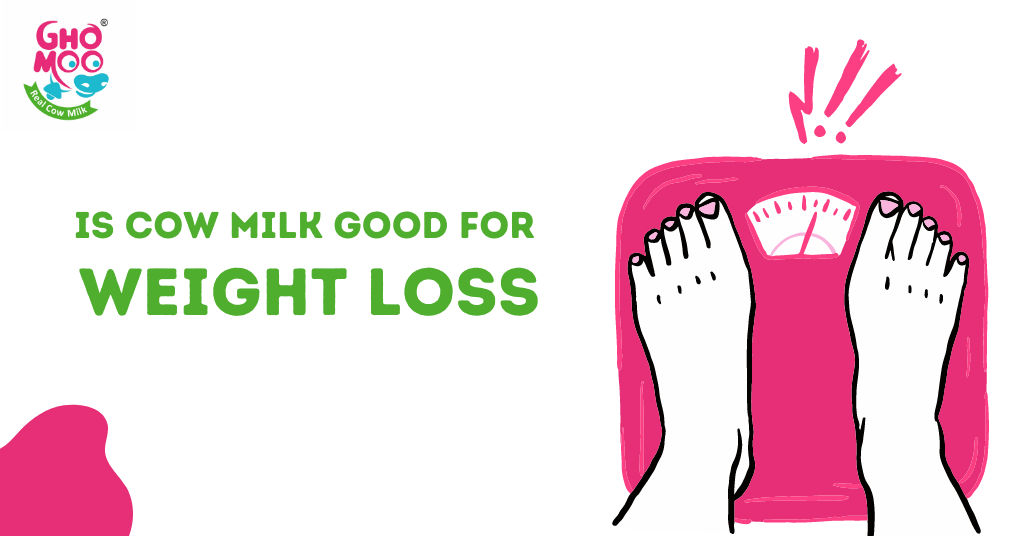 is cow milk good for weight loss