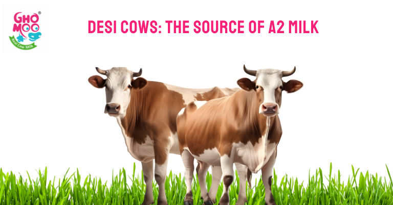 Desi Cows The Source Of A2 Milk