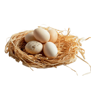Country Chick Eggs