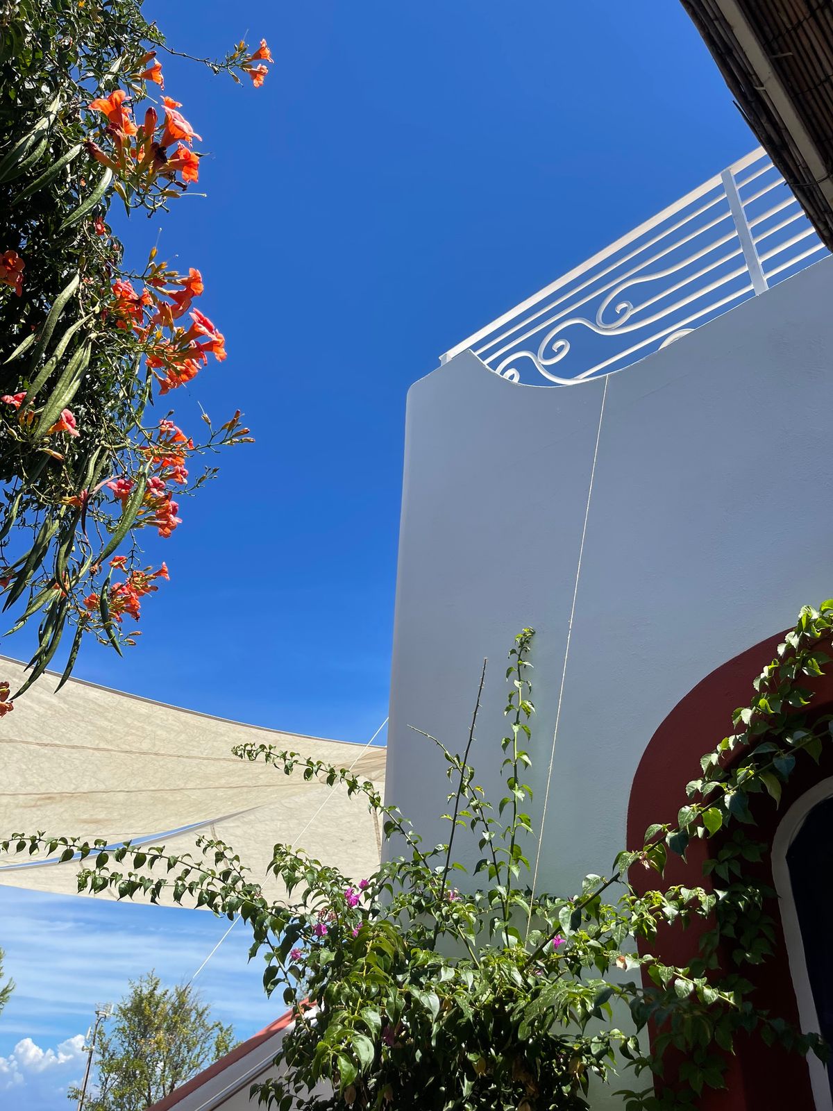 Giada Pappalardo - Ventotene
