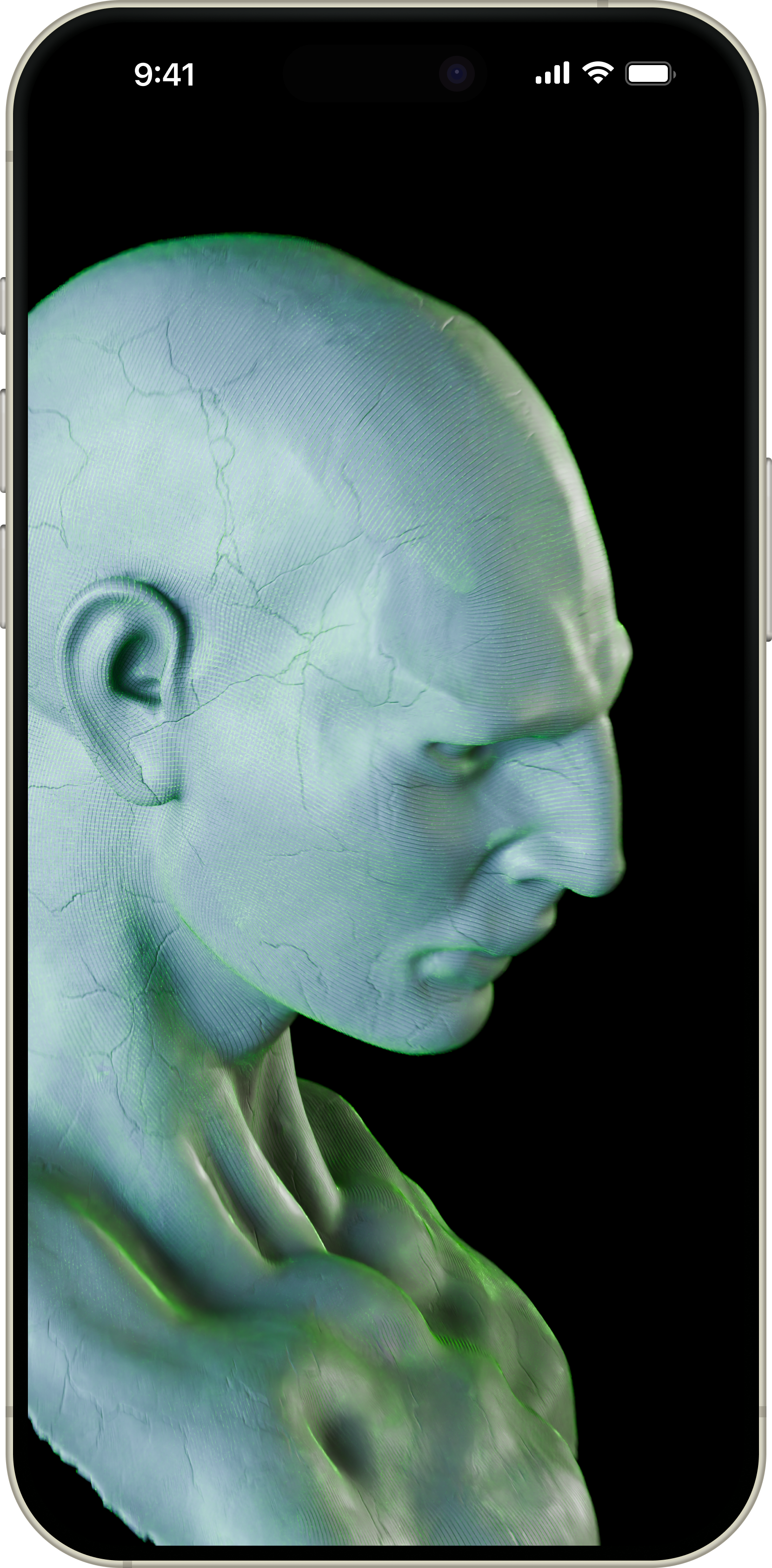 AutoRemesher Interface