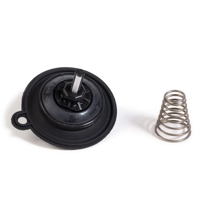 DIAPHRAGMA - 100 PEB Valve Diaphragm Assembly