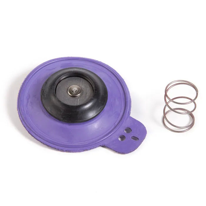 DIAPHRAGMA - Diaphragm Assembly for 1 1/4 in.G & EF Series Valves