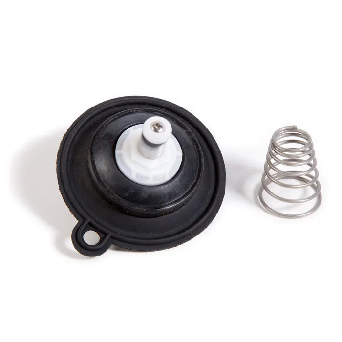 DIAS10PESB - 100 PESB Valve Diaphragm Assembly
