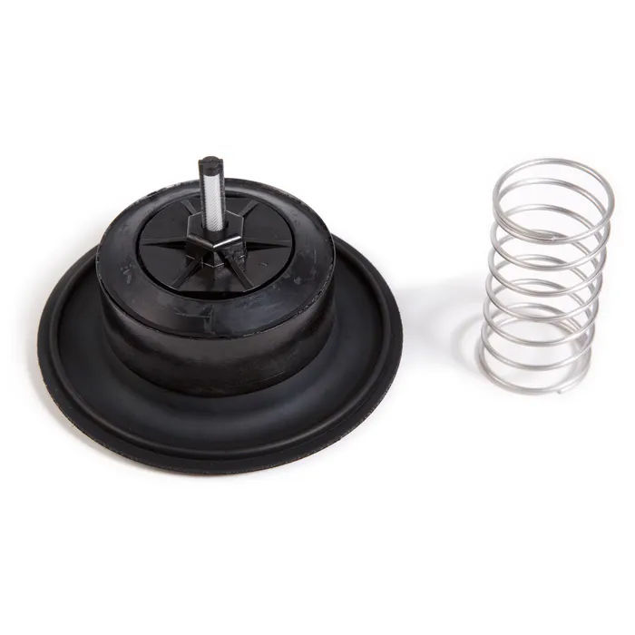 Diaphragm Repair Kit for 2 in.200-PGA Valves