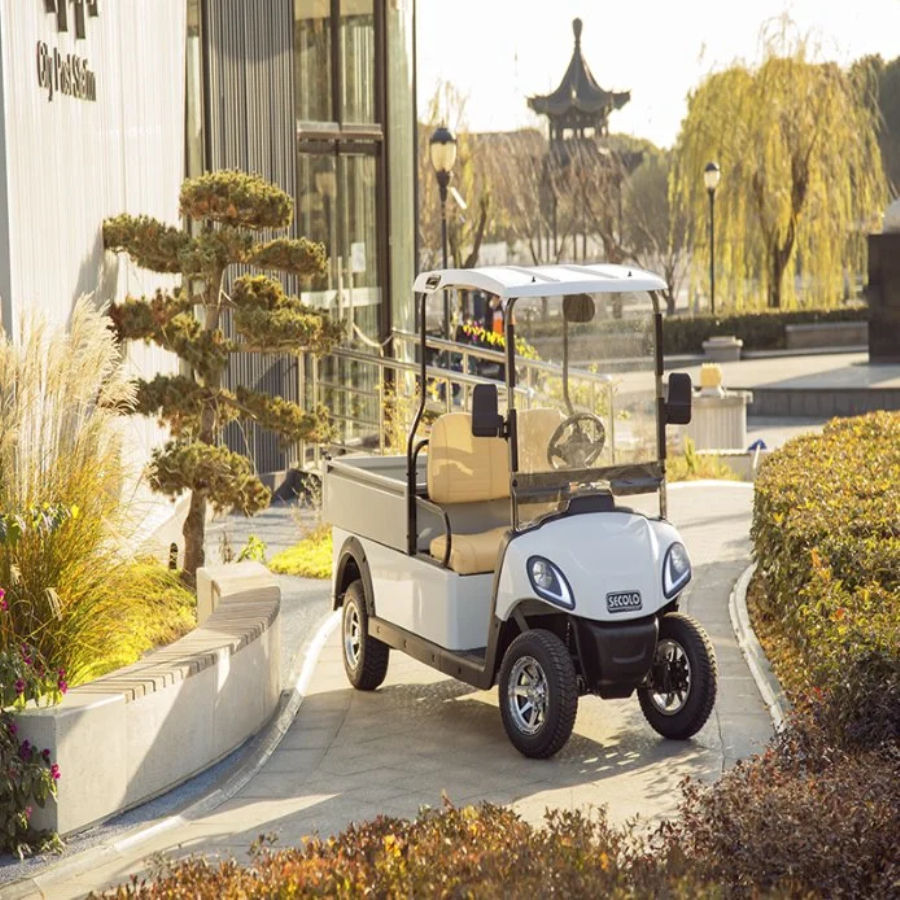 Hio EV 2-Passenger Utility Golf Cart with Aluminium Cargo Box