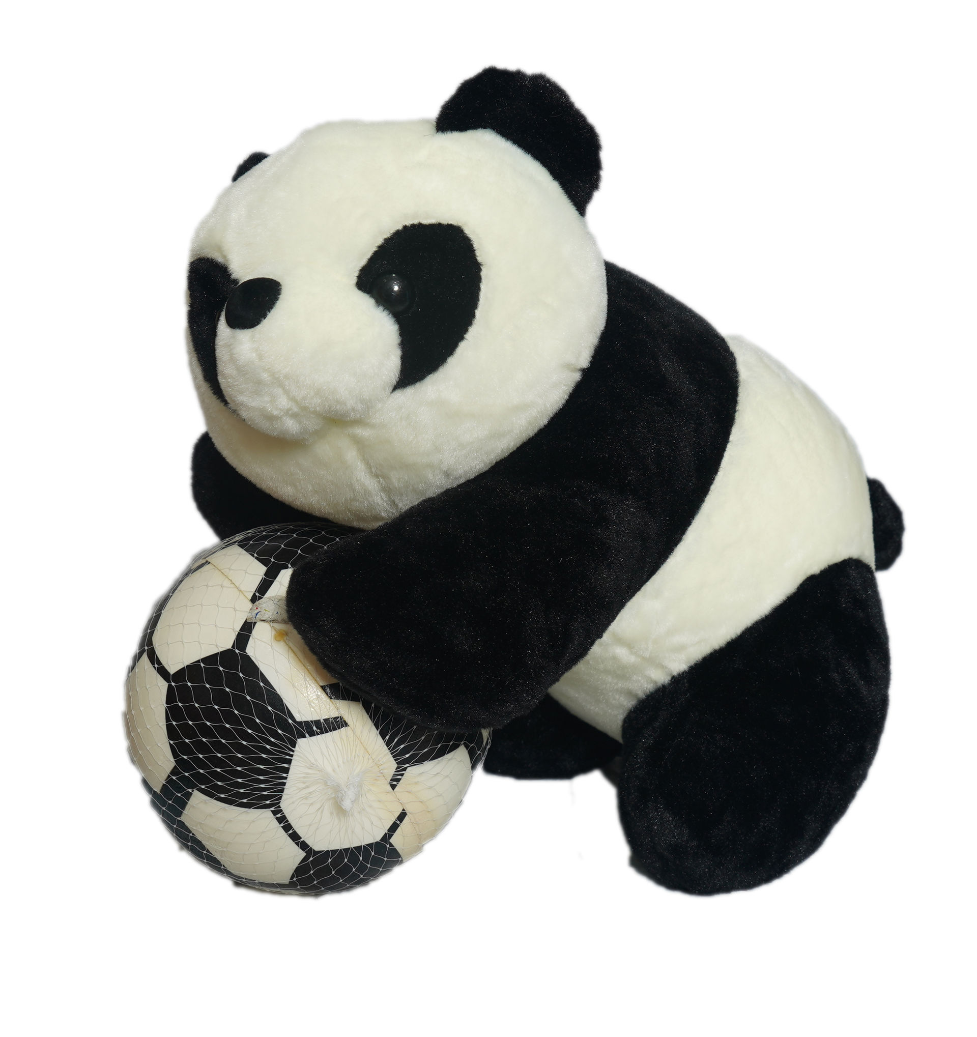 PANDA Teddy