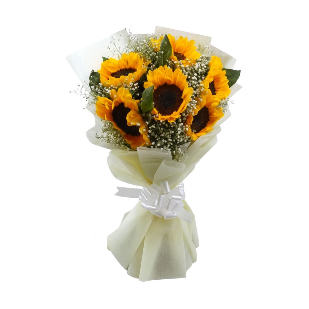 6 Premium Sunflower Bloom Wrap