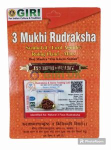 Rudraksha Beads 3 Face Himalayan-Golden Cup