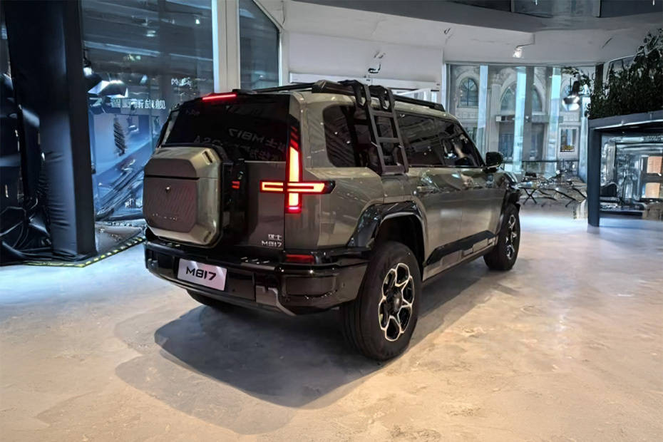 واريور M817 Rear angle view واريور M817 Rear angle view