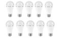 12W Battery Backup Light Bulb E27 (Rechargeable) Pack of 10