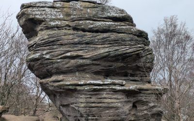 Geology of Brimham Rocks