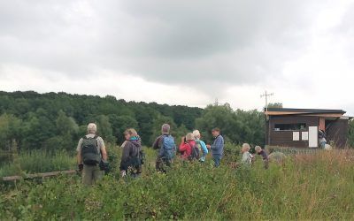 Morning walk at Farnham Gravel Pit