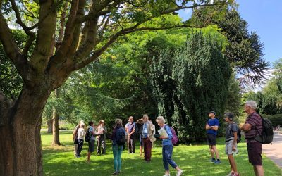 Trees of Valley Gardens