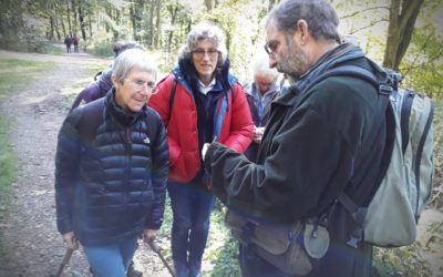 Nidd Gorge 29 September 2018 –  Looking for Fungi
