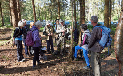 Fungus Foray, Swinsty Reservoir, Saturday 21 September 2019