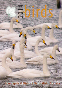 Front Cover 2014 photo-Jill Warwick