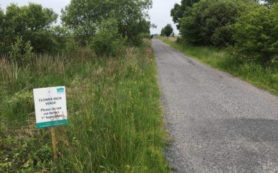 Brown Bank Road Verge
