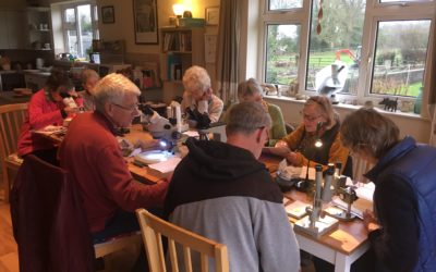 Bryophyte workshop at Staveley,