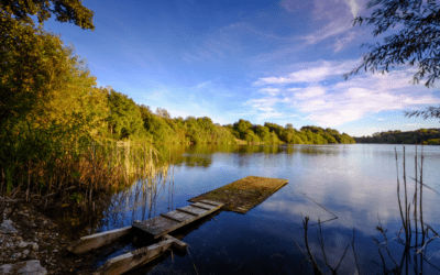 Farnham Gravel Pits reopened on May 13, 2020