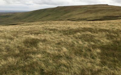 Great Whernside