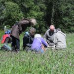 Group at Augill Pasture