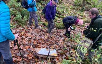 Nidd Gorge Fungus Foray