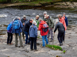 David explaining crinoids to the group