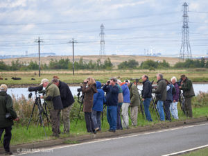 Spotting on West Saltholme Pool