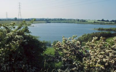 Hay-a-Park Gravel Pits