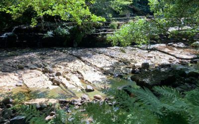 How Stean Beck and Gorge