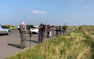 Hartlepool, Newburn Bridge, Seaton Common, Greatham Creek and Saltholme