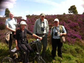Southeast North York Moors  Saturday 11th July 2015