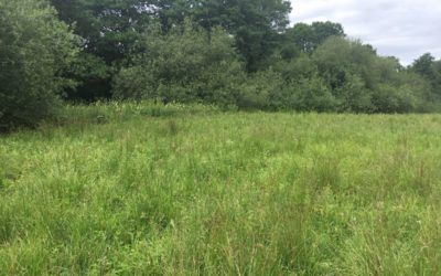 Mar Field Fen