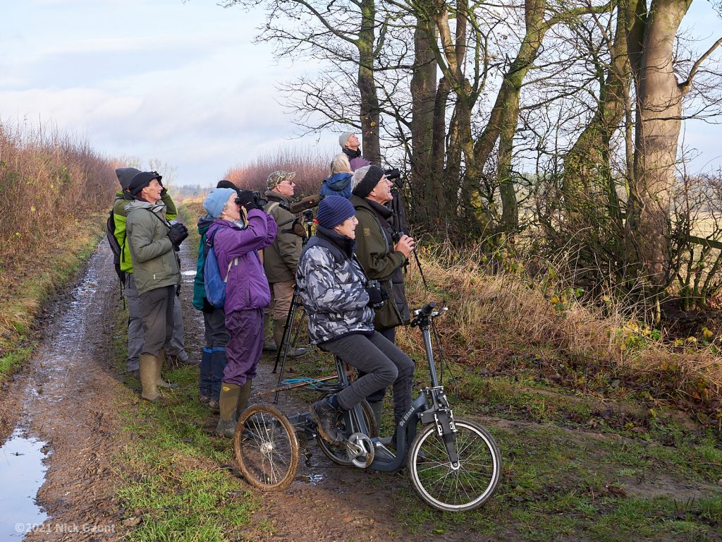 Members watching a mixed finch flock, Bishop Monkton Ings