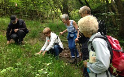 Scotton Banks 23rd June 2016