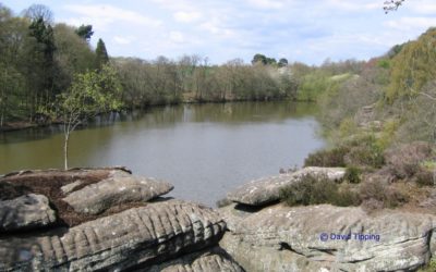 Plumpton Rocks