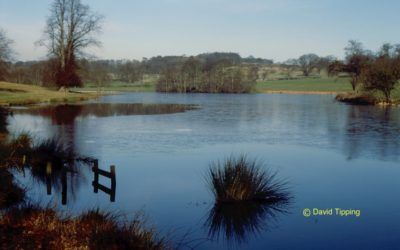 Ripley Castle Deer Park and Lakes