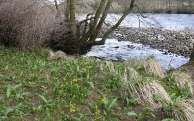 River Burn confluence