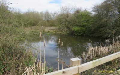 Rossett Local Nature Reserve