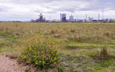 South Gare