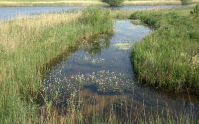 Staveley Nature Reserve