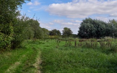 Sylvan Nature Reserve