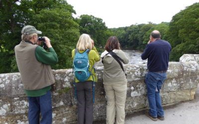 Foulshaw Moss 28th June 2016