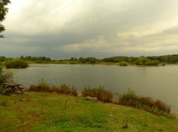 The Hide from the West 18/08/2011 Mike Smithson The Hide from the West