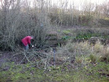 Management 27/11/2011 Mike Smithson Management